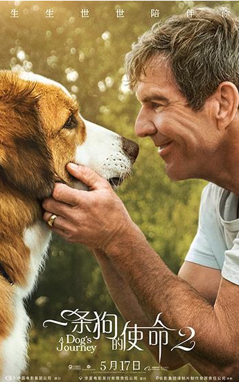 《一条狗的使命2》曝预告 定档5.17同步北美上映