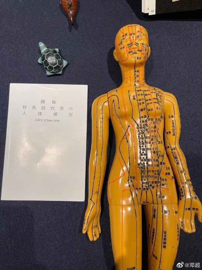 邓超看见孙俪的针灸人体模型