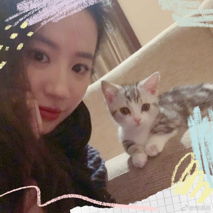 刘亦菲晒最新自拍照 与超萌小猫咪同框甜度满分