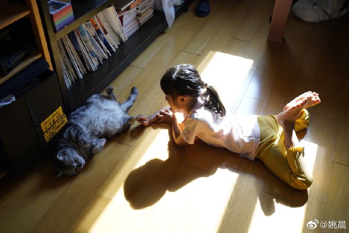 姚晨晒女儿与猫阳光下合照 翘脚侧躺画面温馨治愈