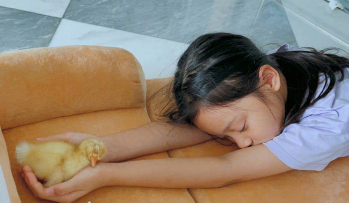 李小璐分享9岁甜馨日常照，侧颜像极了贾乃亮，和鸭子同睡好有爱