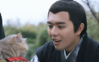 我在大理寺当宠物：茹小岚你怎么穿越成一个猫了