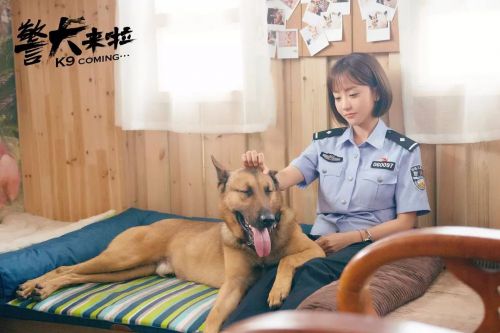 警犬来啦