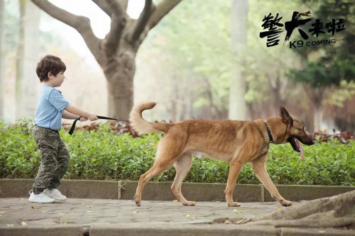 警犬来啦