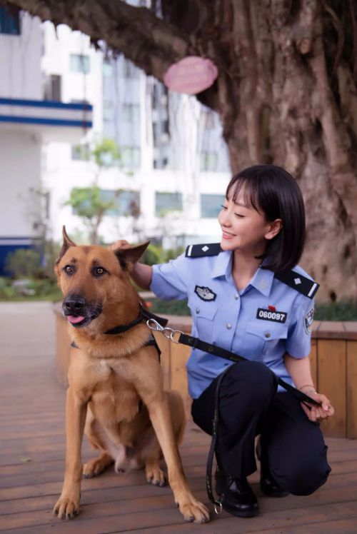 警犬来啦