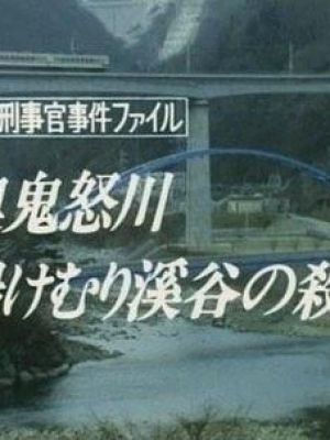 牟田刑事官事件ファイル6 奥鬼怒川湯けむり渓谷の殺意