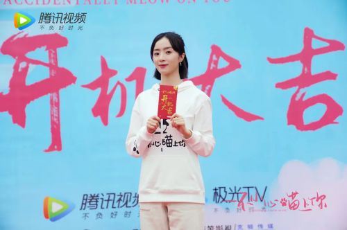 一不小心喵上你