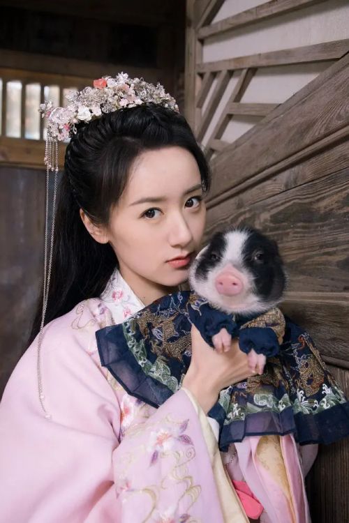 祝卿好