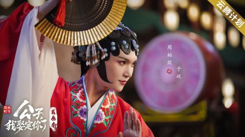 公子，我娶定你了2