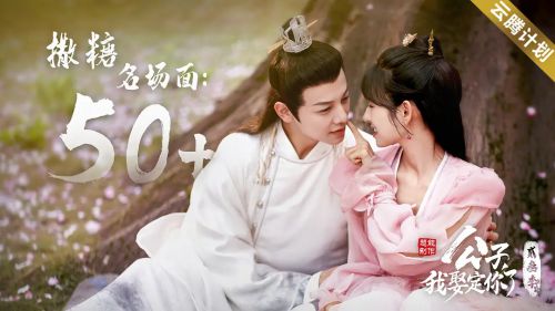 公子，我娶定你了2