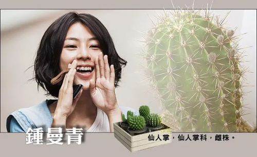 罪美丽