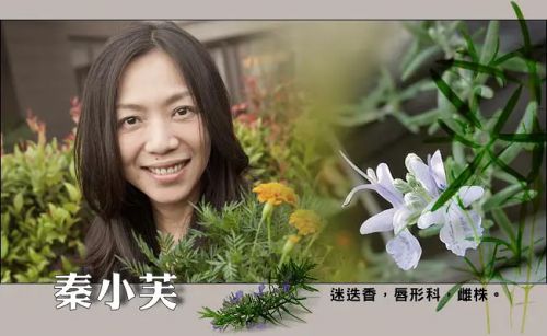 罪美丽